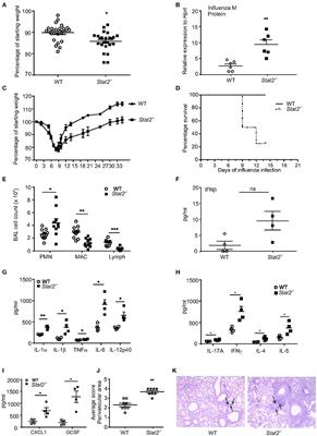 <mark class="highlighted">STAT2</mark> Signaling Regulates Macrophage Phenotype During Influenza and Bacterial Super-Infection